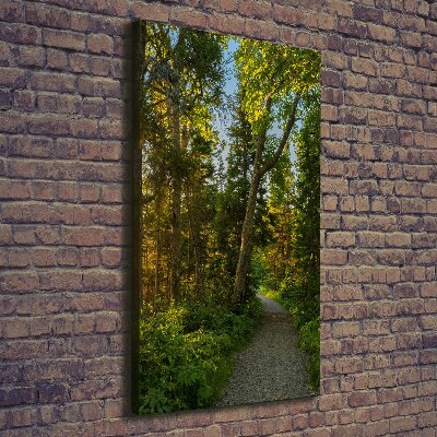 Wall art canvas large Path in the forest