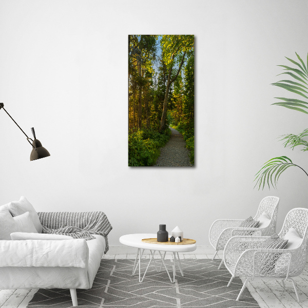 Wall art canvas large Path in the forest