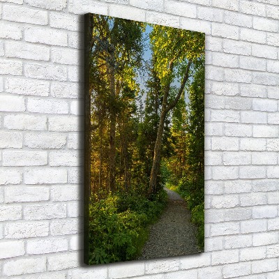 Wall art canvas large Path in the forest