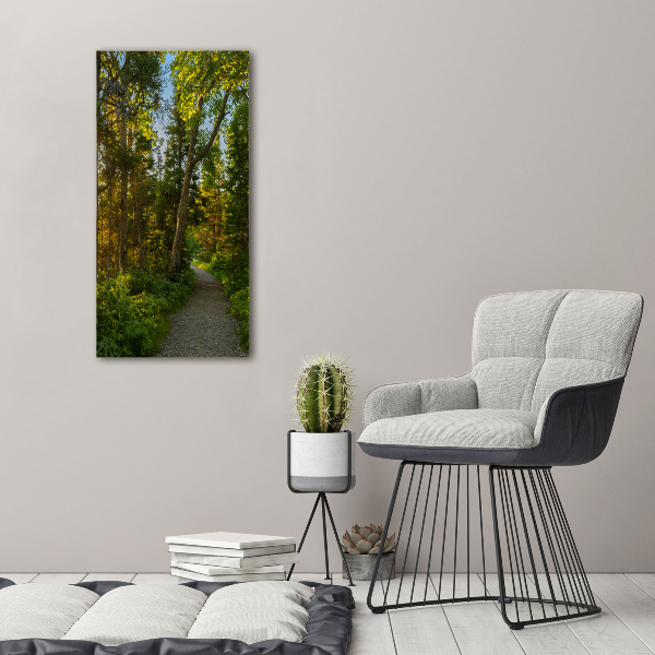 Wall art canvas large Path in the forest