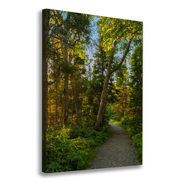 Wall art canvas large Path in the forest