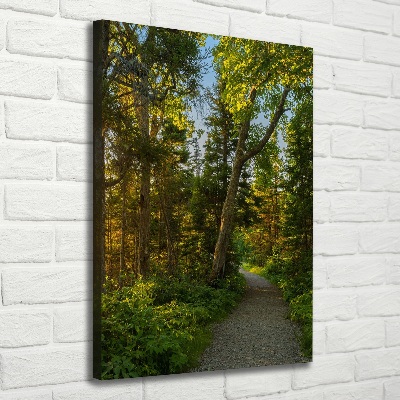 Wall art canvas large Path in the forest