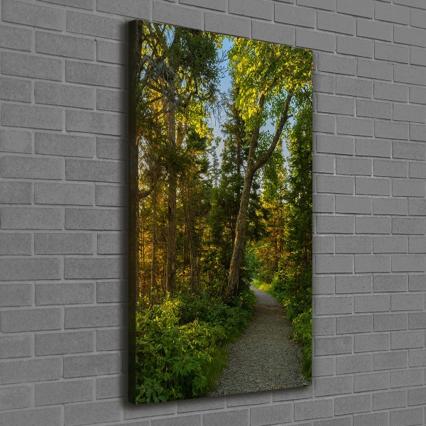 Wall art canvas large Path in the forest