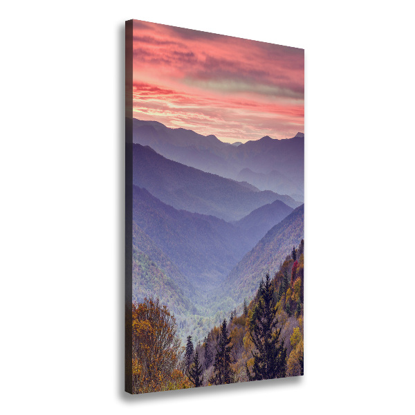 Canvas wall art Fog over the mountains