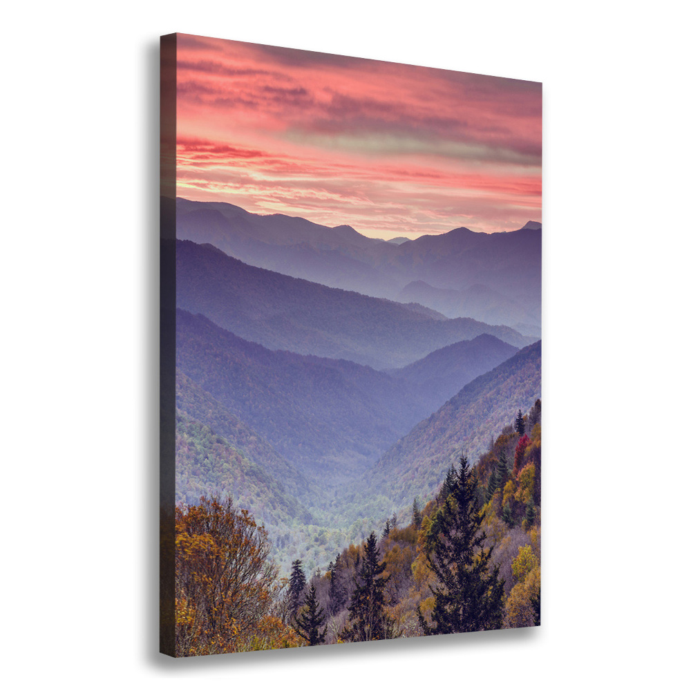 Canvas wall art Fog over the mountains