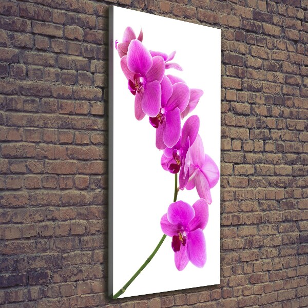 Canvas wall art Pink orchid