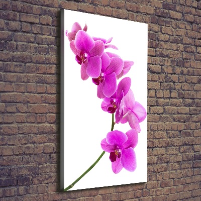 Canvas wall art Pink orchid