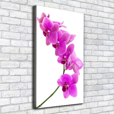 Canvas wall art Pink orchid