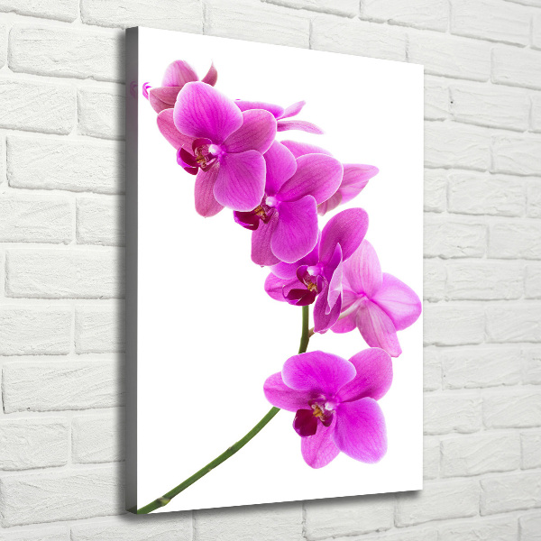 Canvas wall art Pink orchid