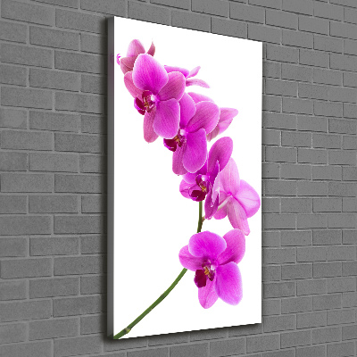 Canvas wall art Pink orchid