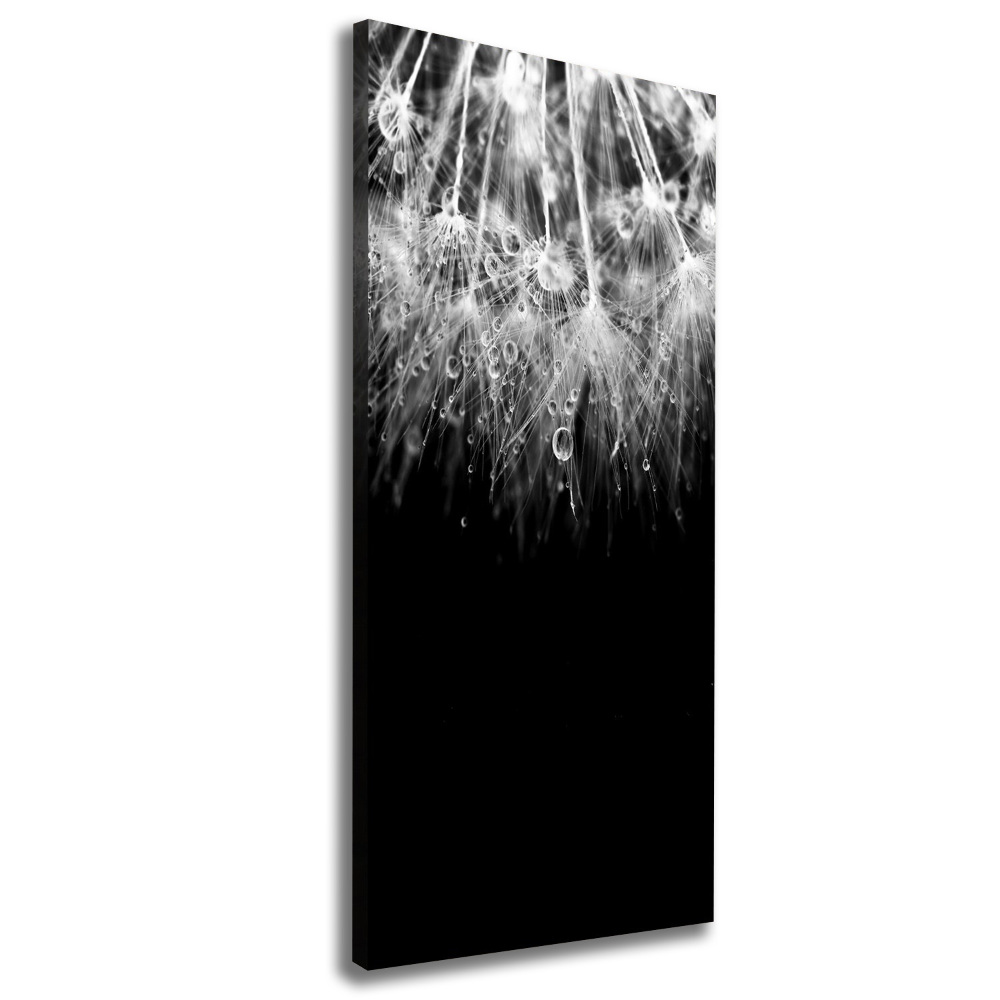 Canvas wall art Dandelion seeds