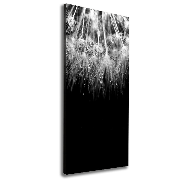 Canvas wall art Dandelion seeds