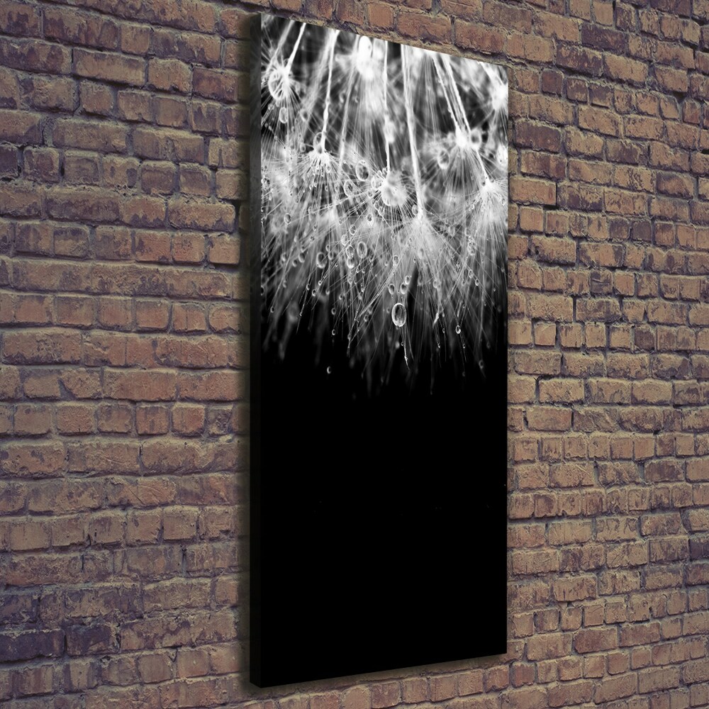 Canvas wall art Dandelion seeds