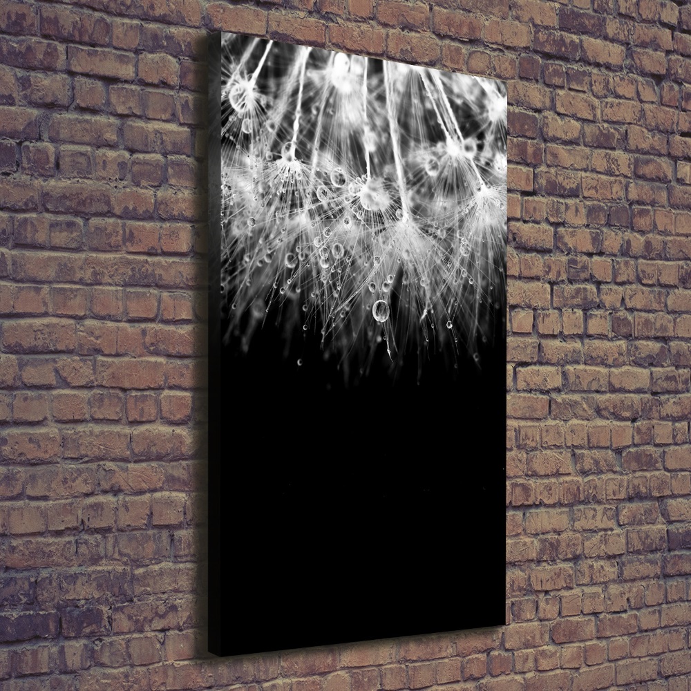 Canvas wall art Dandelion seeds