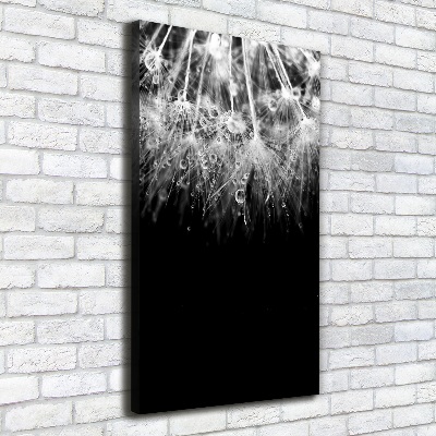 Canvas wall art Dandelion seeds