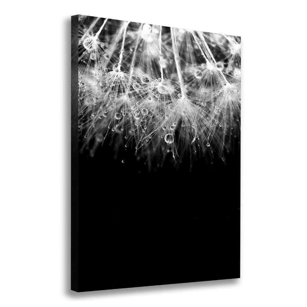 Canvas wall art Dandelion seeds