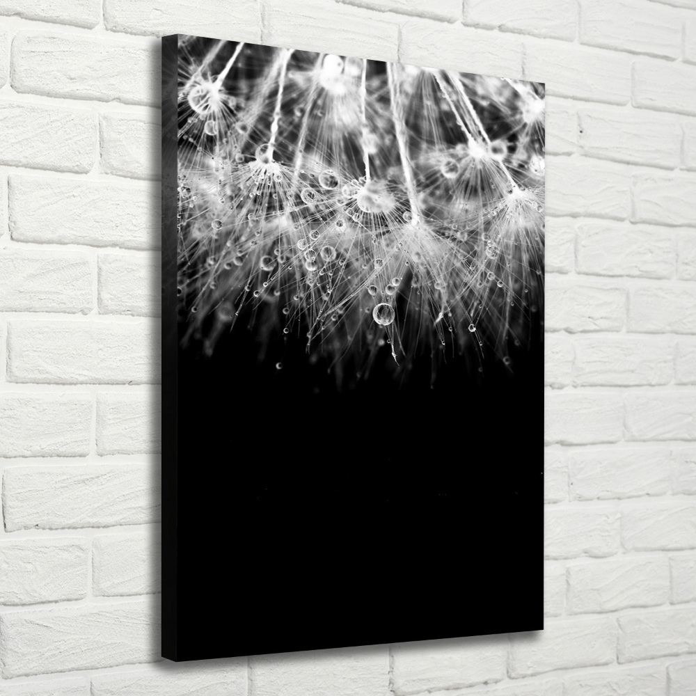 Canvas wall art Dandelion seeds