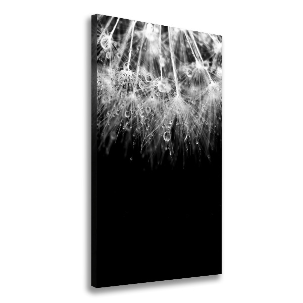 Canvas wall art Dandelion seeds