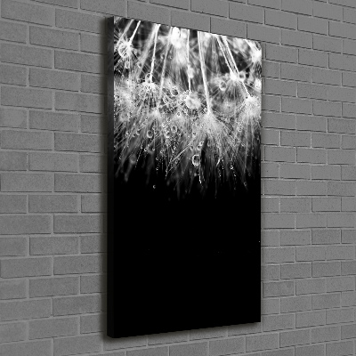 Canvas wall art Dandelion seeds