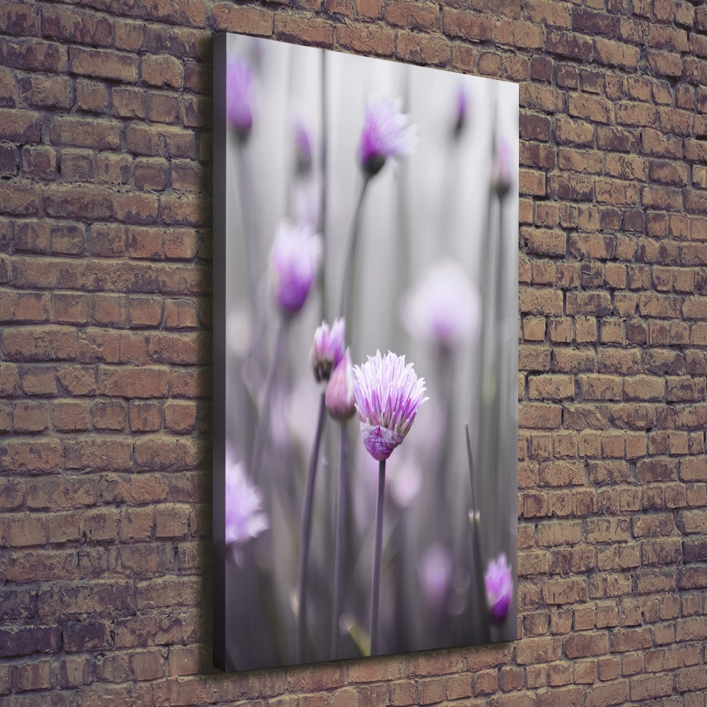 Canvas wall art Chives flowers