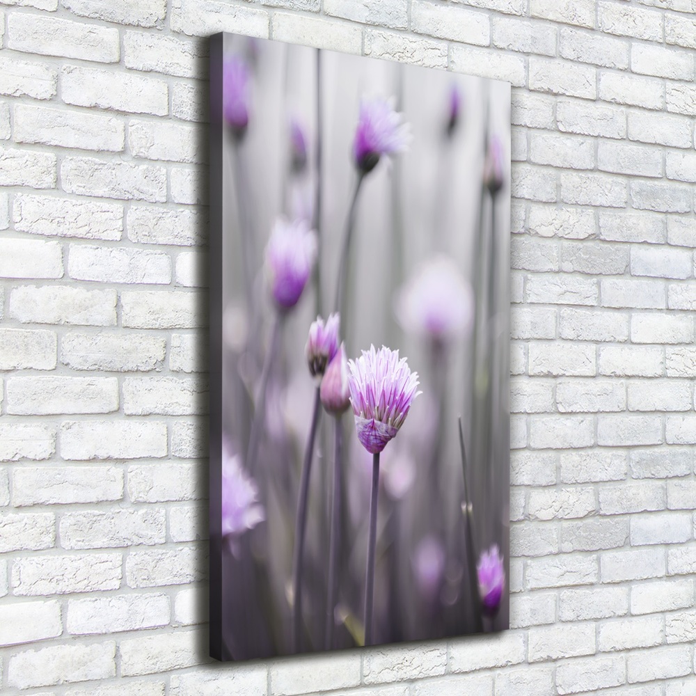 Canvas wall art Chives flowers