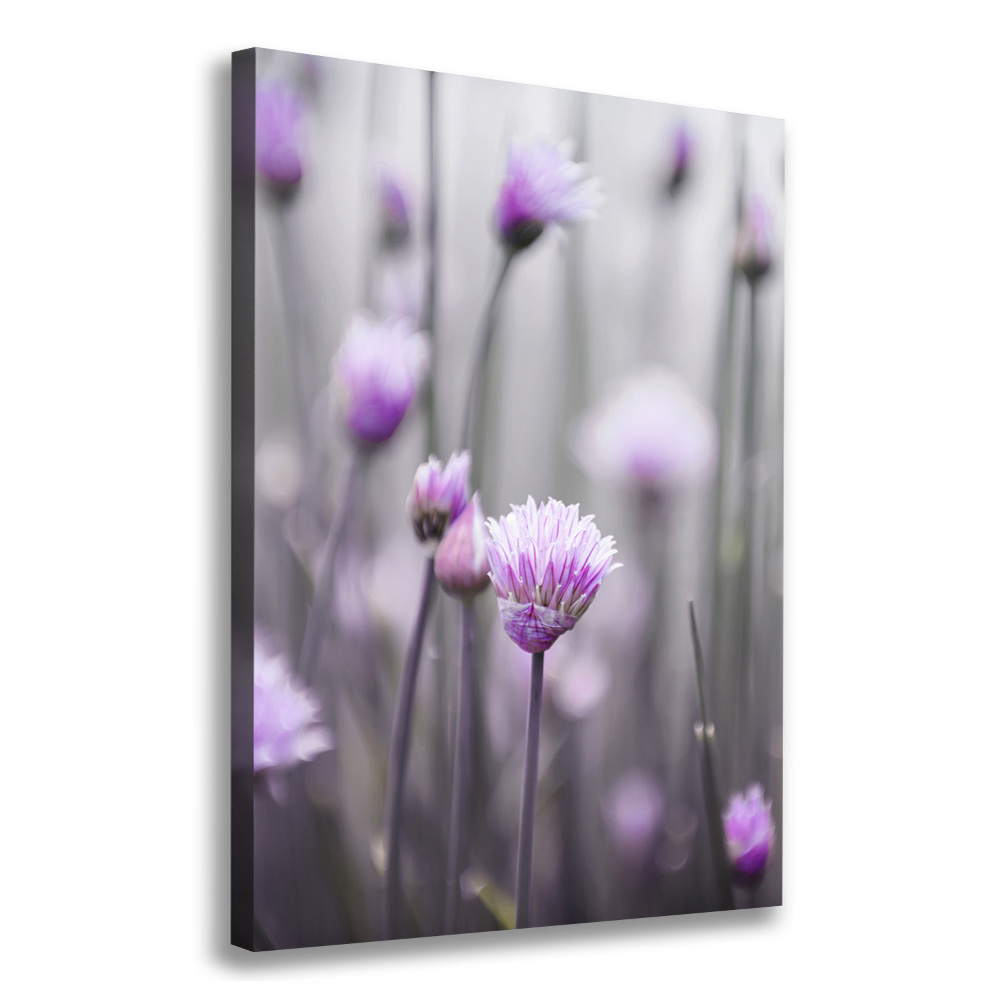 Canvas wall art Chives flowers