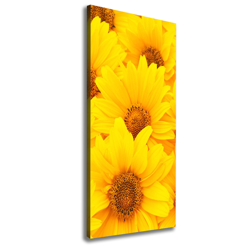 Canvas wall art Sunflowers