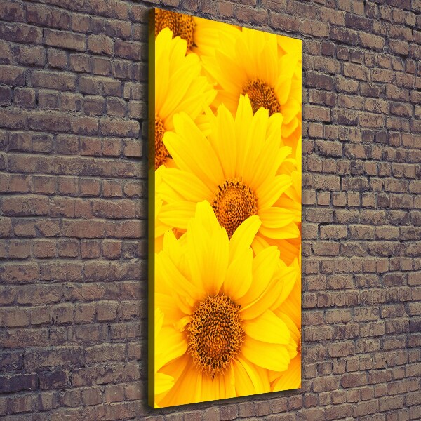 Canvas wall art Sunflowers