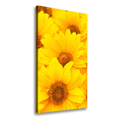 Canvas wall art Sunflowers