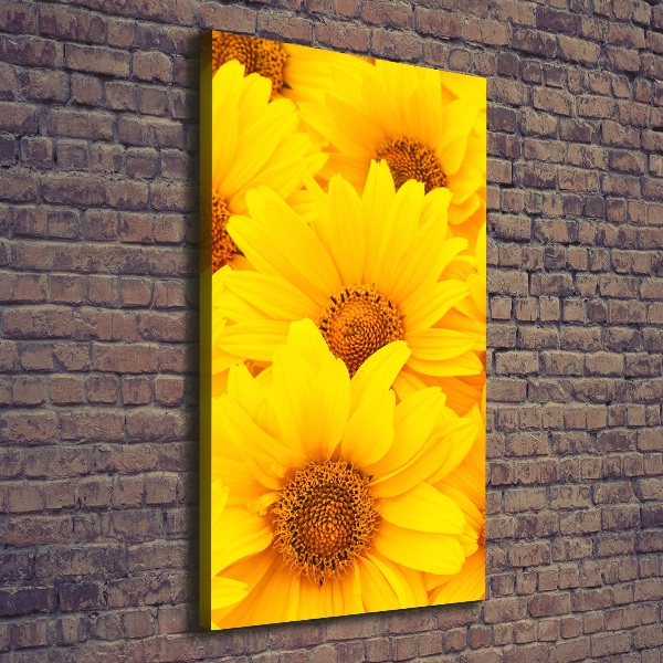 Canvas wall art Sunflowers