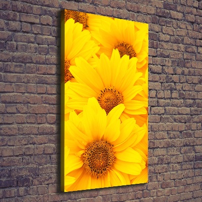 Canvas wall art Sunflowers