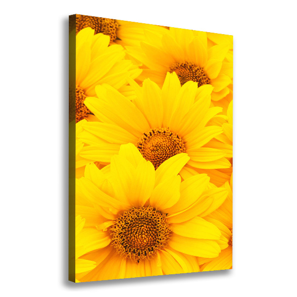 Canvas wall art Sunflowers