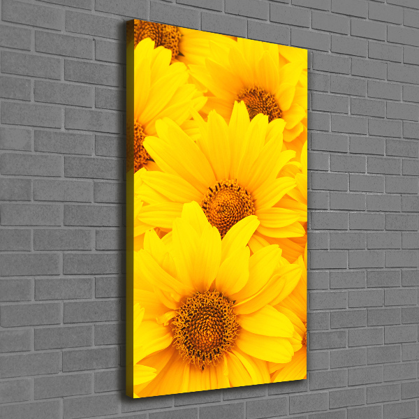 Canvas wall art Sunflowers