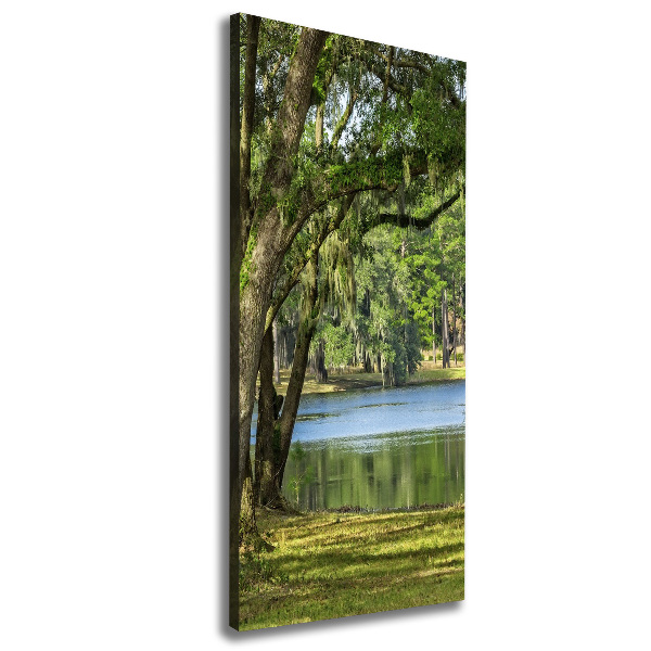 Canvas wall art Lake in the park