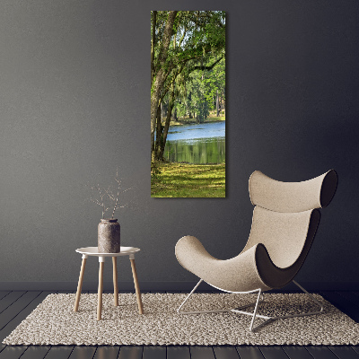 Canvas wall art Lake in the park