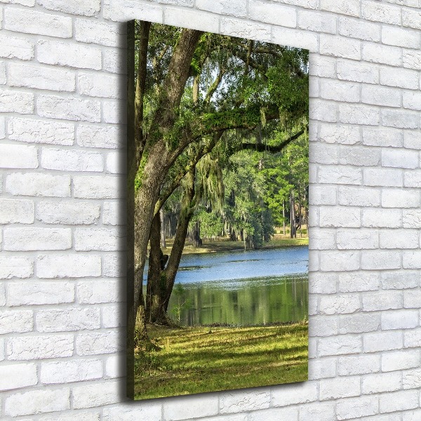 Canvas wall art Lake in the park