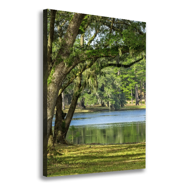 Canvas wall art Lake in the park