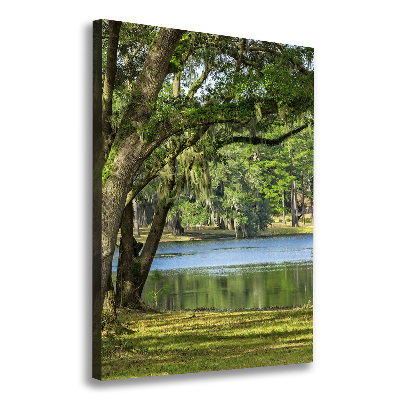 Canvas wall art Lake in the park