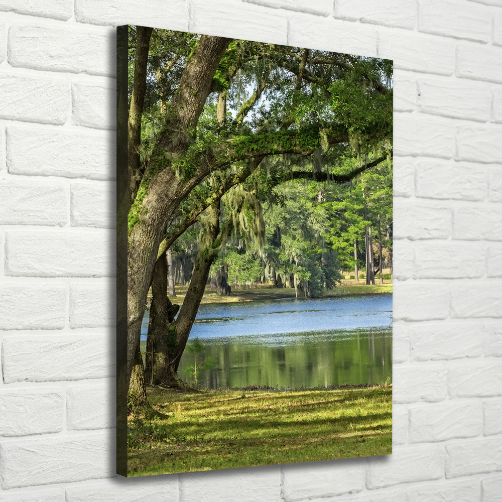 Canvas wall art Lake in the park