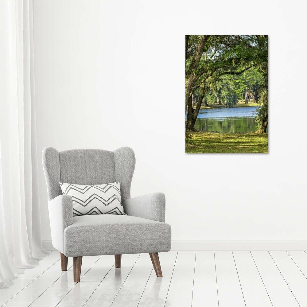 Canvas wall art Lake in the park