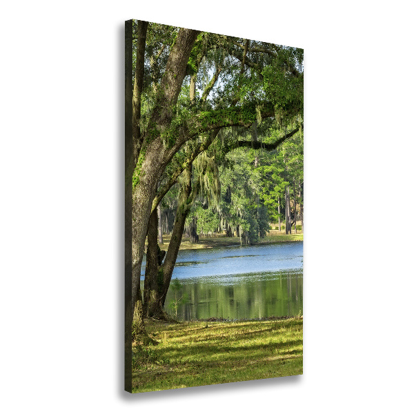 Canvas wall art Lake in the park