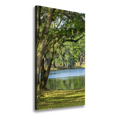 Canvas wall art Lake in the park