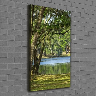 Canvas wall art Lake in the park