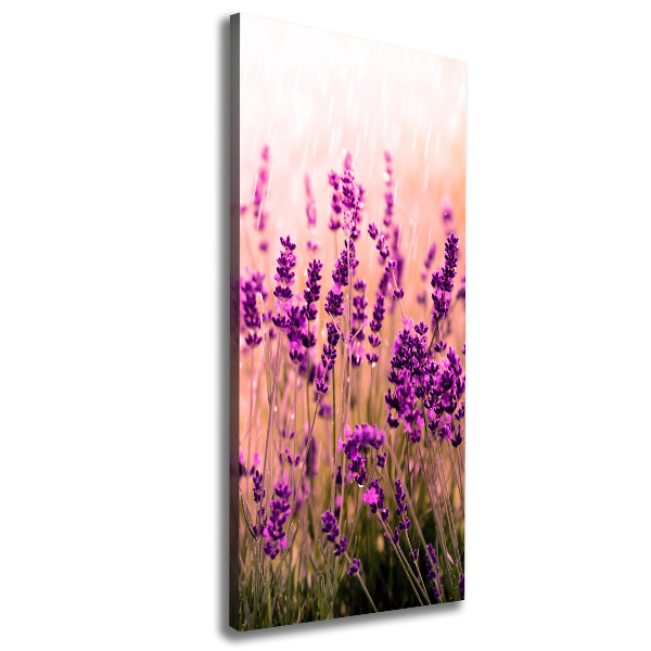 Large canvas wall art Lavender field