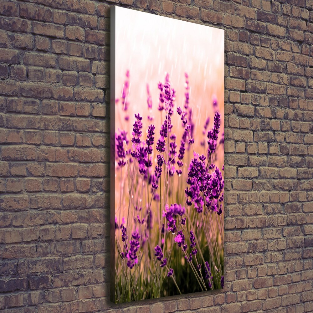 Large canvas wall art Lavender field