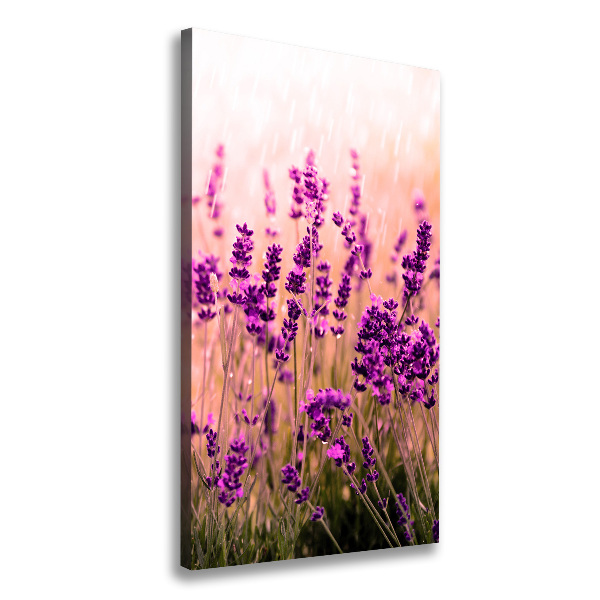 Large canvas wall art Lavender field