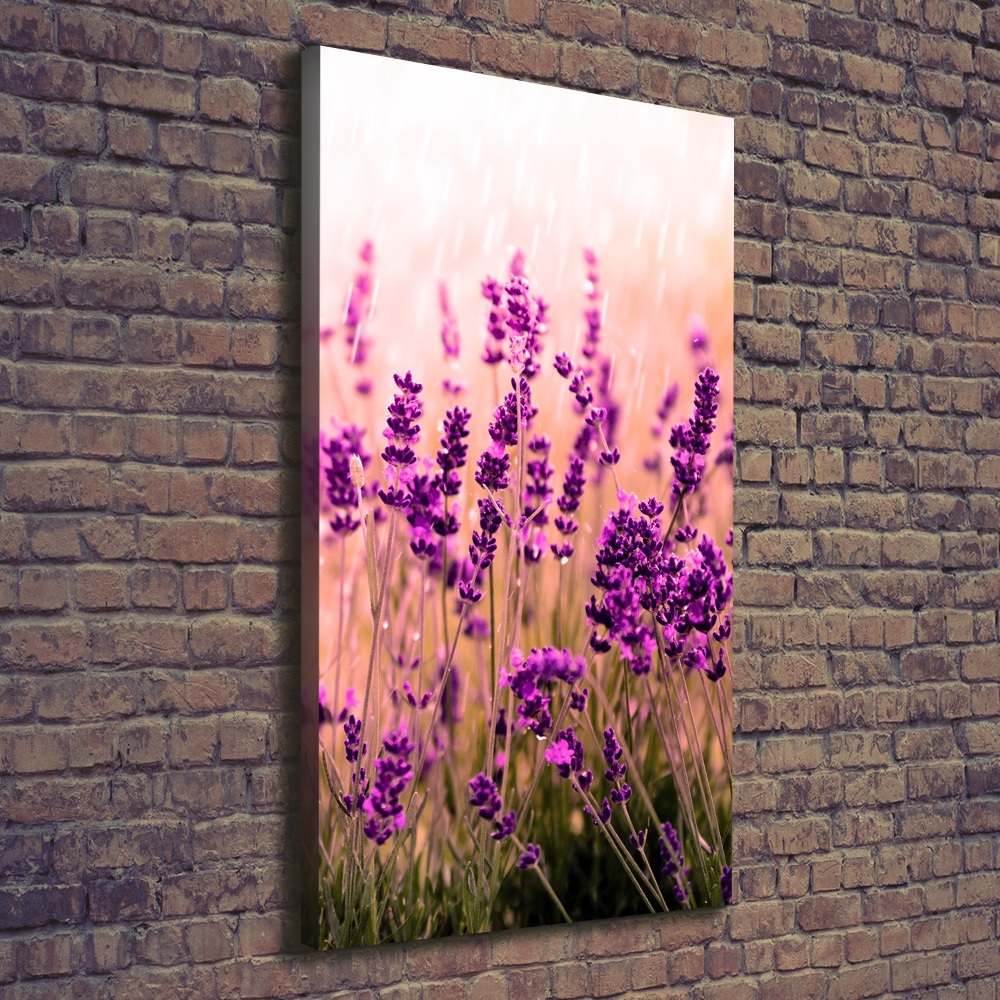 Large canvas wall art Lavender field