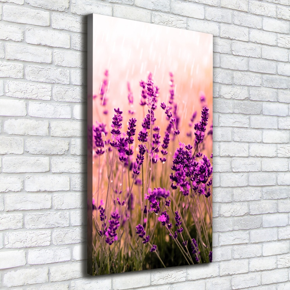 Large canvas wall art Lavender field