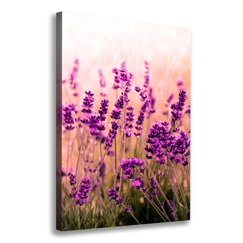 Large canvas wall art Lavender field