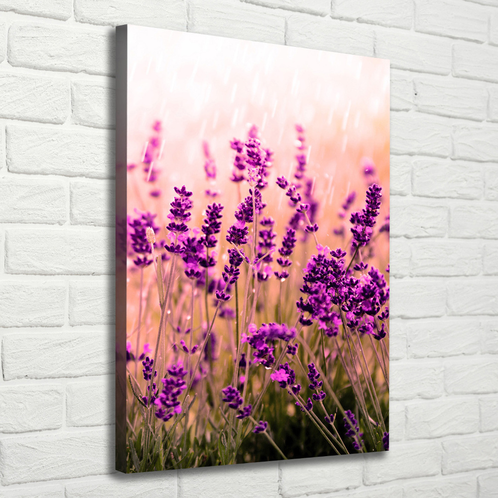 Large canvas wall art Lavender field